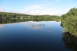 大自然,視圖,河
