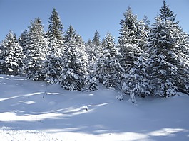 雪,山,寒冬