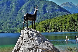 伯尼,湖伯尼,朱利安阿尔卑斯山