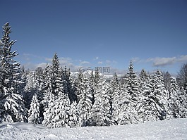 雪,山,寒冬
