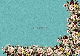 花,廠,性質(zhì)