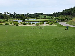 高爾夫,高爾夫球場,現(xiàn)場