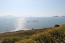 海灘,海洋,性質(zhì)