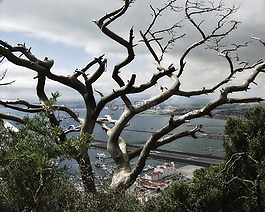 直布羅陀,城市,地中海