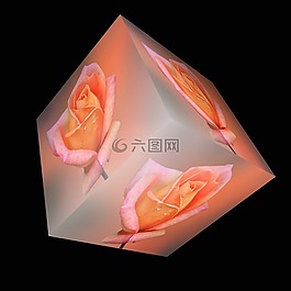 多維數(shù)據(jù)集,花,玫瑰