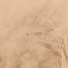 背景,剪貼簿,紋理