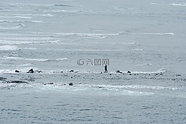 考艾岛,钓鱼,海洋