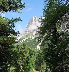 白云巖,樹(shù),山