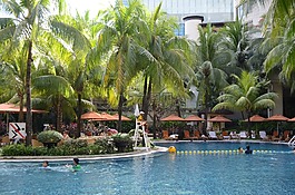 酒店泳池,游泳池,香格里拉大酒店
