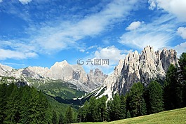 白云巖,山,樹(shù)
