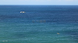 海,海洋,水