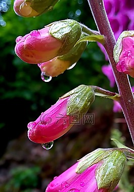 性質(zhì),降,工廠