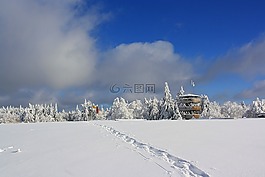 雪,冬天,冷