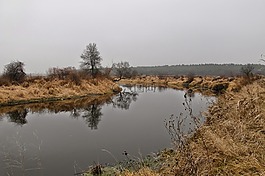 景觀,性質(zhì),秋季