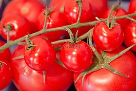 蕃茄,蔬菜,食品