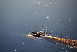 泡沫,砂,水