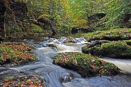 蘇格蘭,河,水