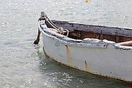 海,引導(dǎo),木