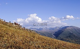 中國,新疆,喀納斯