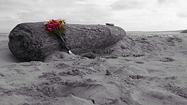 漂流木,海灘,海洋
