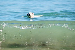 波,綠松石,沖浪