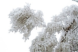 冬天,凍結(jié)的,積冰