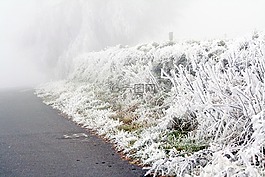 冬天,凍結(jié)的,積冰