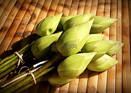 蓮花,花,花園