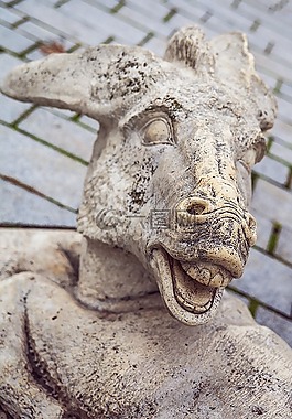 動物,性質(zhì),驢