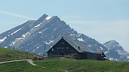 阿爾高,山,alpe