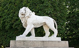 獅子,雕像,巴黎