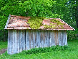 棚屋,屋頂,苔
