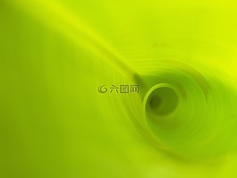 叶,背景,线路