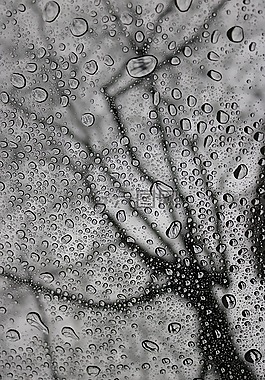 雨,滴,玻璃