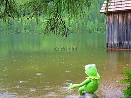 雨,湖,水