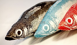 魚(yú),動(dòng)物,海洋