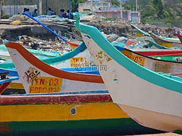 海灘,引導(dǎo),豐富多彩