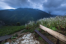農業(yè),美,綠