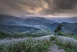 農業(yè),美,綠