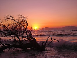 海灘,日落,余輝