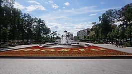 花,公園,自然