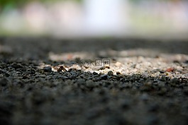 卵石,离,steinchen