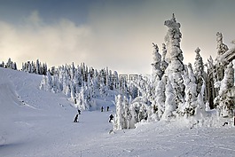冬天,雪,戶(hù)外