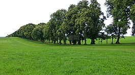 阿爾高,marktoberdorf,大道