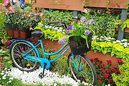 花,車輪,花園
