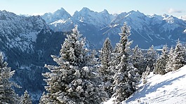 阿爾高,冬天,山