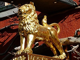 狮子,金,客栈