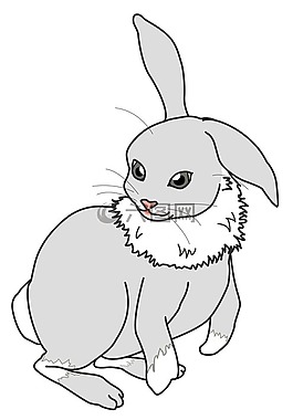兔子,可愛,動物