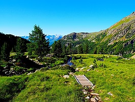 山,網(wǎng)站,性質(zhì)