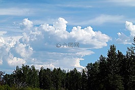 自然,天空,積云